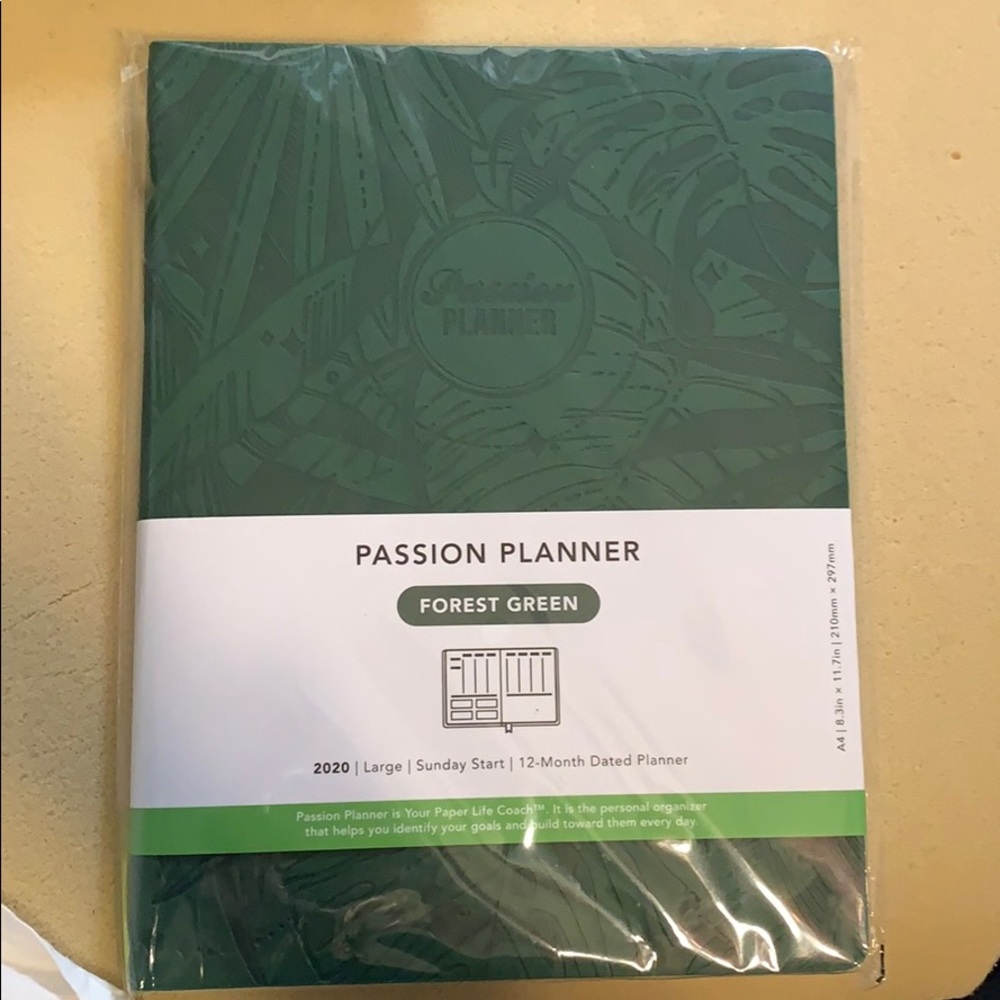 Passion planner 2020 LG Sunday Dated